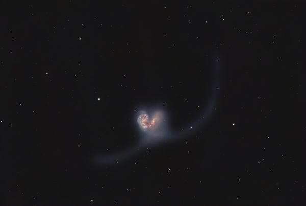 Antennae Galaxies (NGC4038/NGC4039) - Cosmic Valentine