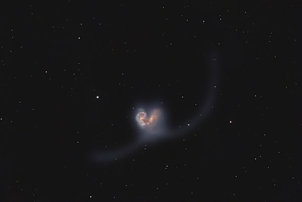 Antennae Galaxies (NGC4038/NGC4039)   Cosmic Valentine