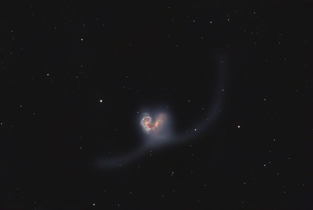 Galactic Heart   Antennae Galaxies (Ngc4038) Photography Art | MaximAstroPhoto