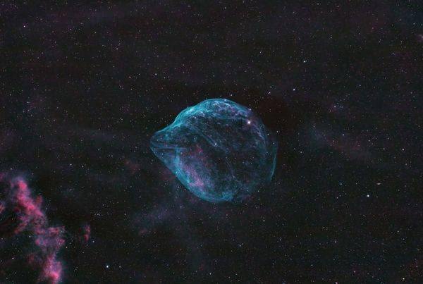 Dolphin Head Nebula