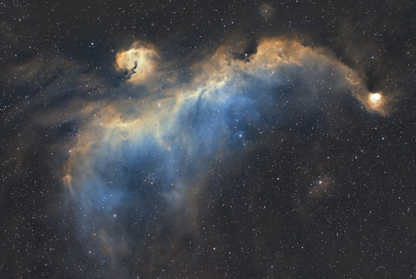 IC 2177, or Seagull Nebula