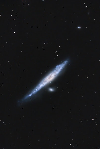 Whale Galaxy, A.K.A. NGC 4631