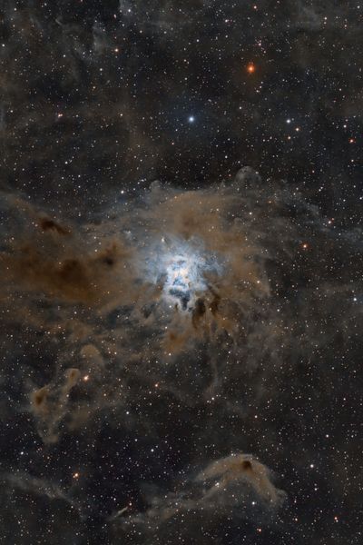 The Iris Nebula (NGC 7023 / Caldwell 4)