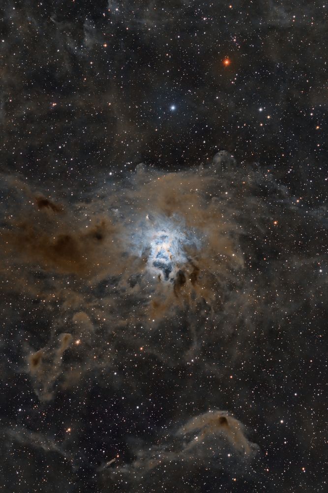 The Iris Nebula (also known as NGC 7023 and Caldwell 4) Close Up