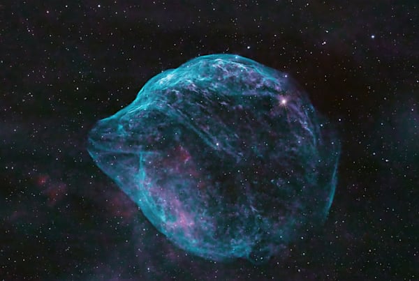 Dolphin Head Nebula (Sh2 308)