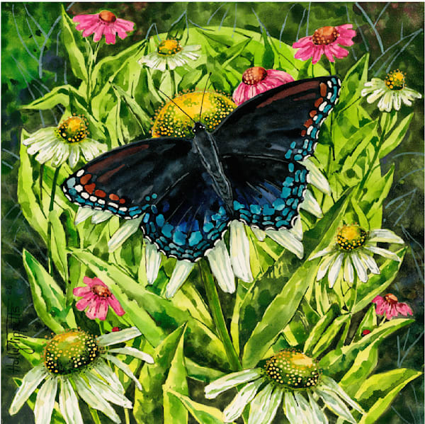 Pretty Garden Art | Holly Tippetts Art