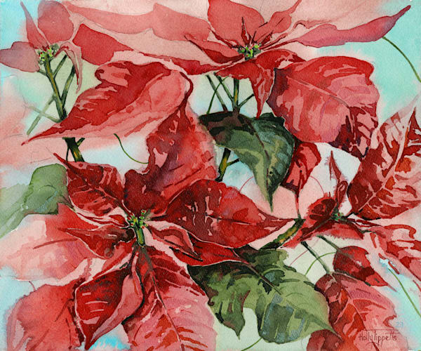 Poinsettia Art | Holly Tippetts Art