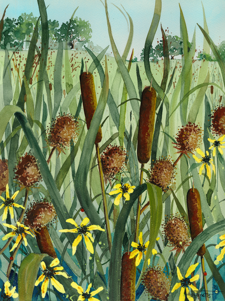 Summer Tails Art | Holly Tippetts Art