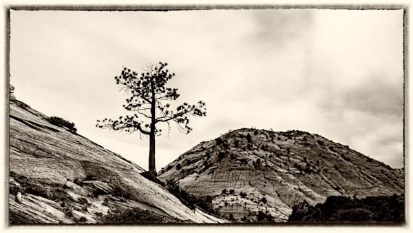 LONE RANGER - ZION - UT