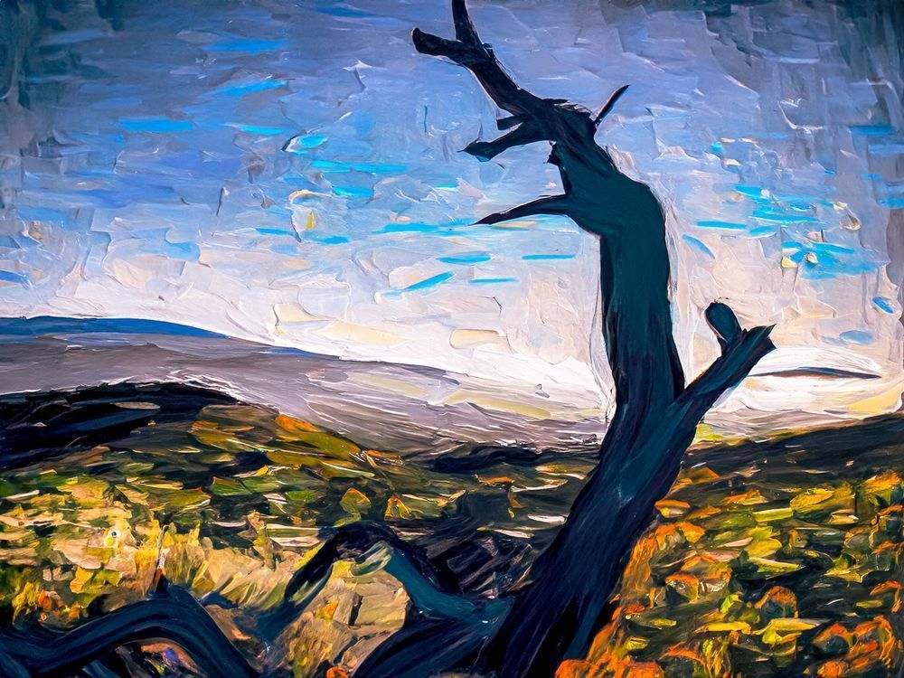 Mauna Kea Overlook Photography Art | Julian Kegel 