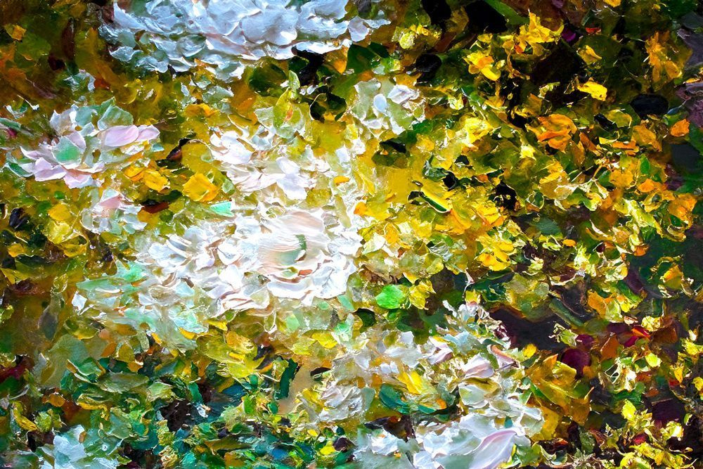 Monet Stream And Ice Photography Art | Julian Kegel 