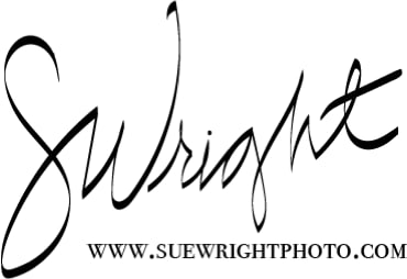 suewright