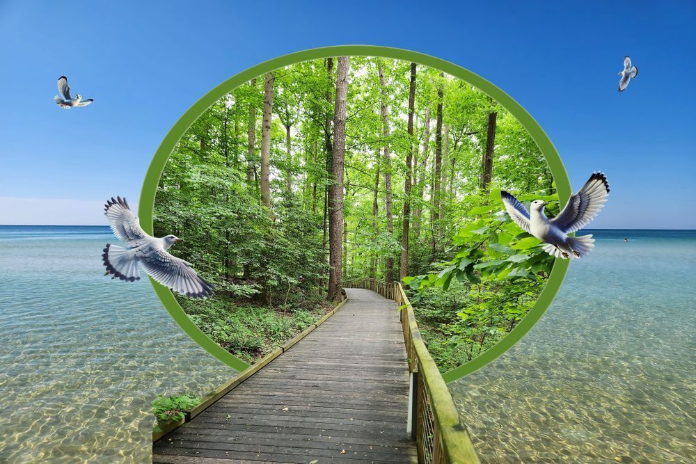 Beach Island Dock Art | Viewfinder Arts LLC