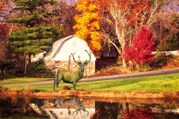 Barn With Deer Reflection Art | Viewfinder Arts LLC