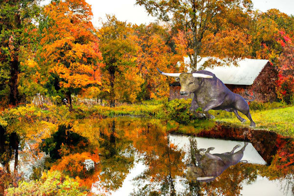Barn With Jumping Bull Art | Viewfinder Arts LLC