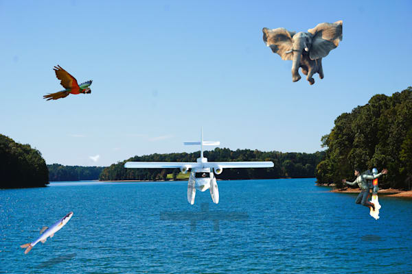 Flying Lake Creatures Art | Viewfinder Arts LLC