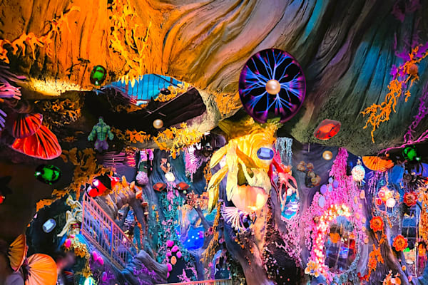 Gems Below The Top Art | Viewfinder Arts LLC