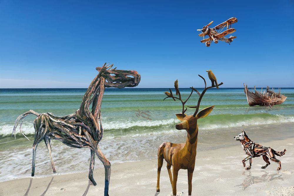 Driftwood Beach Art | Viewfinder Arts LLC
