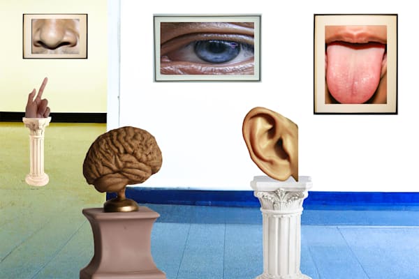 Human Senses Museum Art | Viewfinder Arts LLC