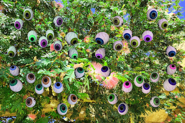 Island Eyeball Tree Art | Viewfinder Arts LLC