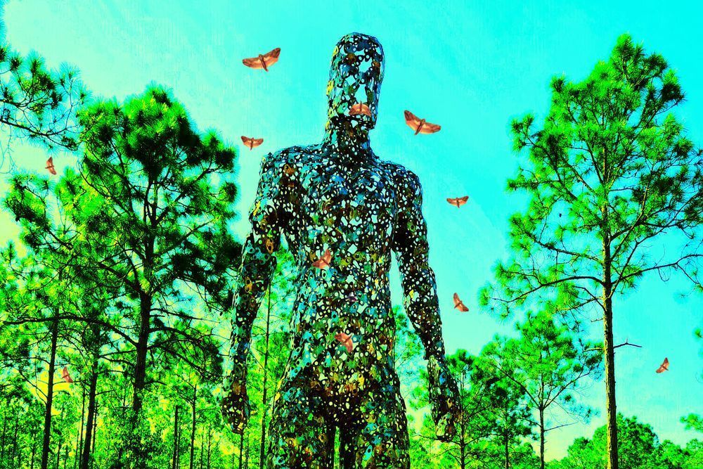 Mothman Of The Forest Art | Viewfinder Arts LLC