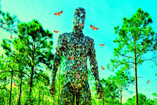 Mothman Of The Forest Art | Viewfinder Arts LLC