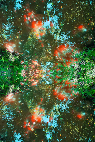 River Tree Reflections Art | Viewfinder Arts LLC