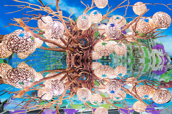 Tree Of Pods Art | Viewfinder Arts LLC