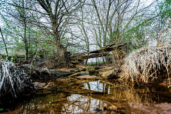 A Natural Bridge