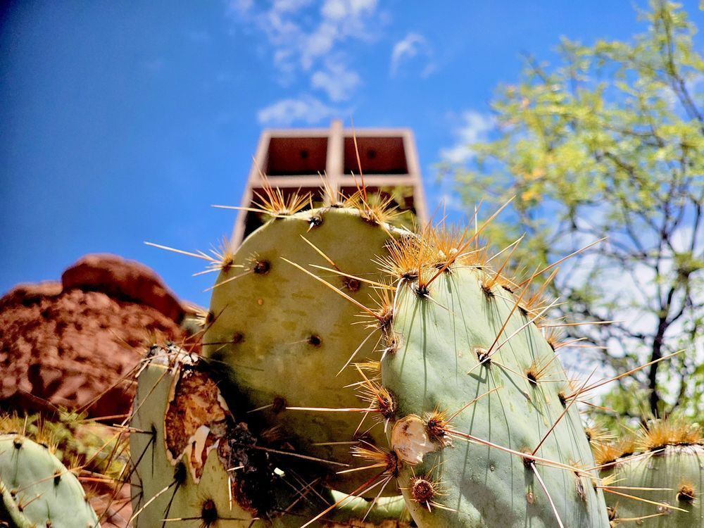 Sacred Thorns Photography Art | Artistic Insights Aerial Photography
