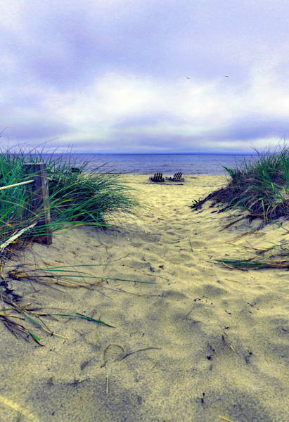 Cape Cod Coastal Path - Relaxing Beach View with Sand Dunes