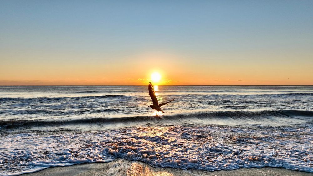 Morning Soar Photography Art | Artistic Insights Aerial Photography