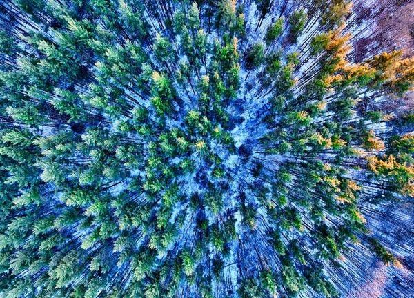 Winter's Aerial Quilt Photography Art | Artistic Insights Aerial Photography