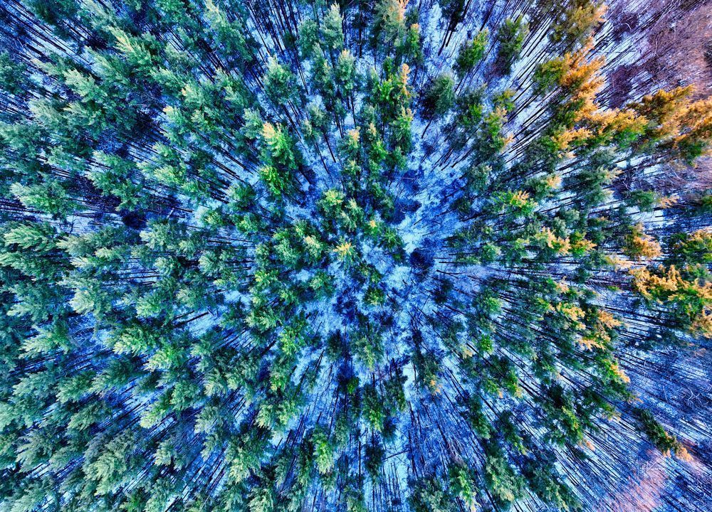 Winter's Aerial Quilt Photography Art | Artistic Insights Aerial Photography