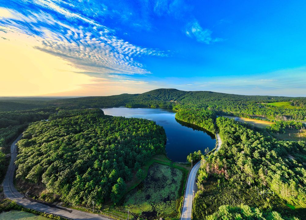 Wachusett Canopy Photography Art | Artistic Insights Aerial Photography