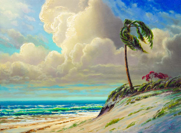 Florida Light and Breeze