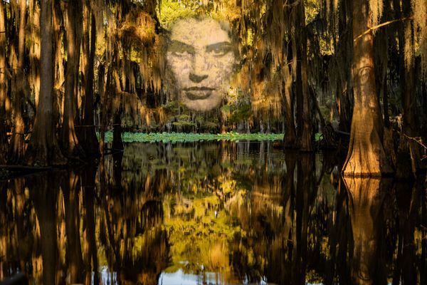 Caddo Lake, Texas