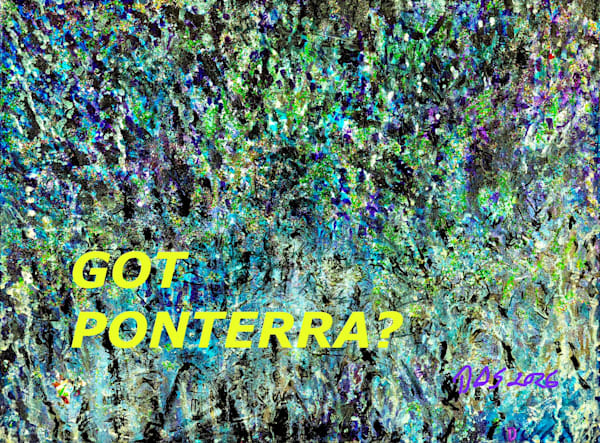 Got Ponterra? Art | DAS Gallerie
