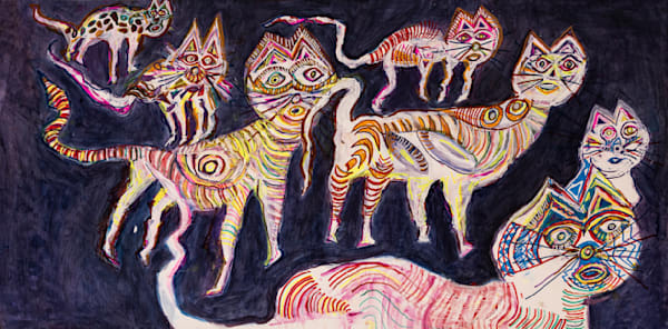 Confused Cats