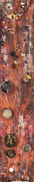 Ancient Wood Pile