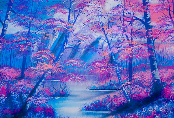 Landscapes and Wildlife