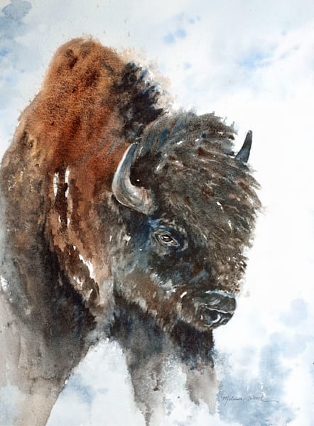 Wildlife