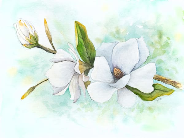 Magnolia Watercolor