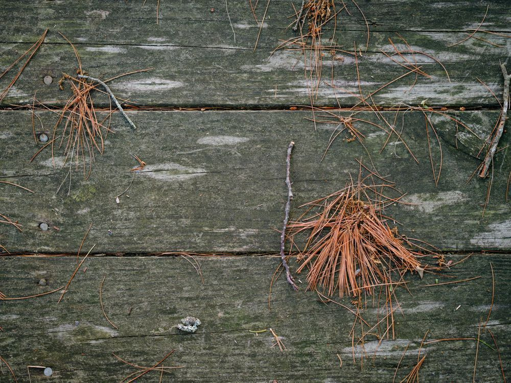 Untitled Maine Photography Art | colby lysne {art}