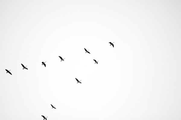 In Range