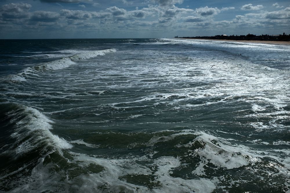Daylight On Flagler Beach Photography Art | colby lysne {art}
