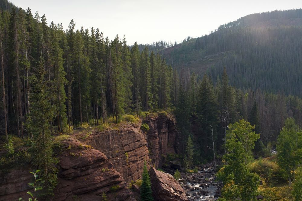 Piney River Colorado Photography Art | colby lysne {art}