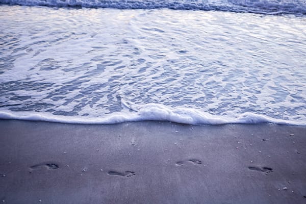 Gulf Coast Footprints