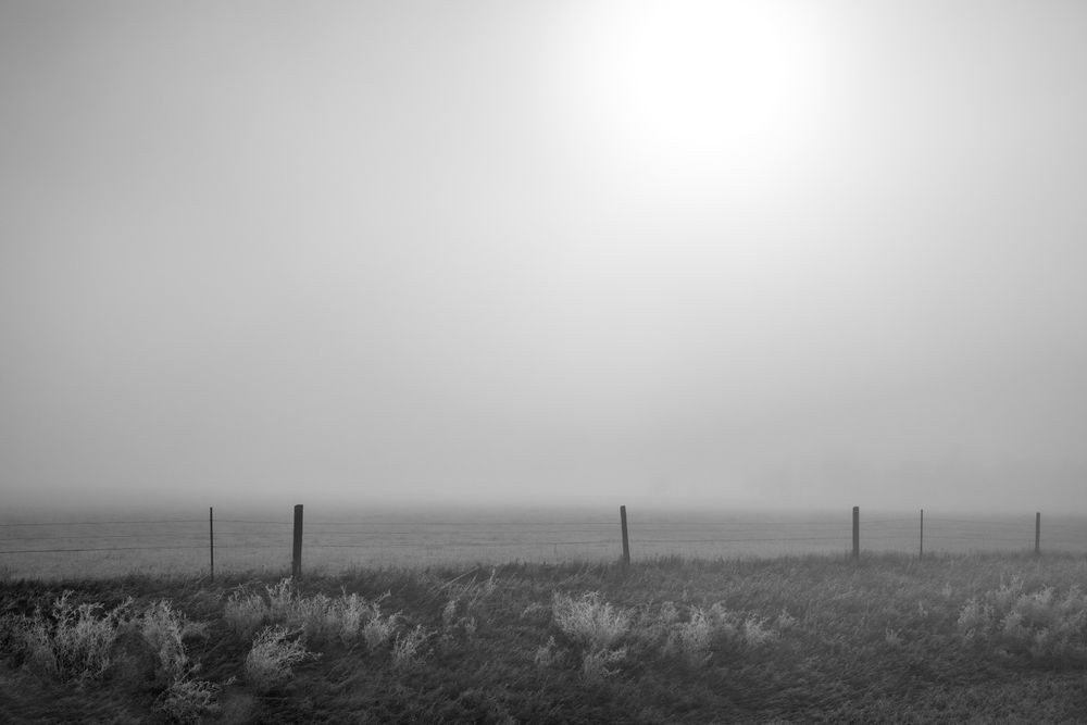 Fenceline Photography Art | colby lysne {art}