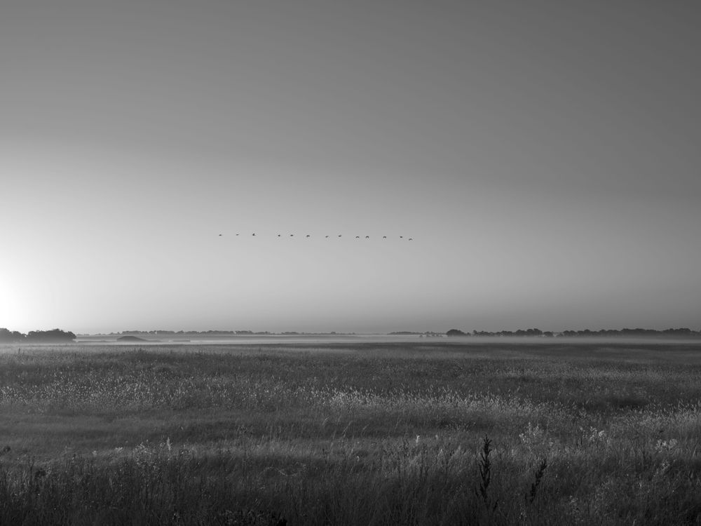 Fall Flyway Photography Art | colby lysne {art}